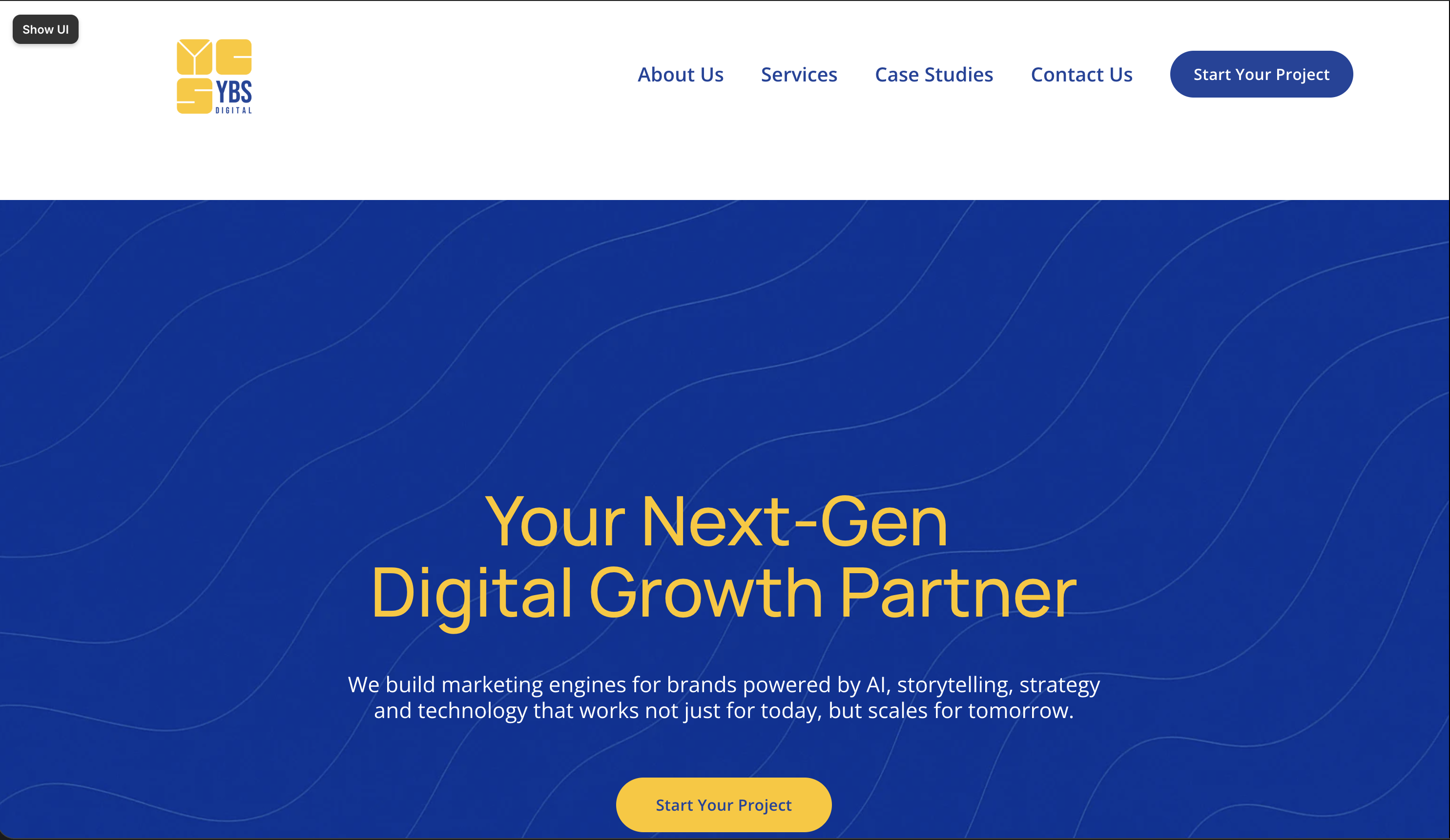 YBS Digital — old site, homepage hero