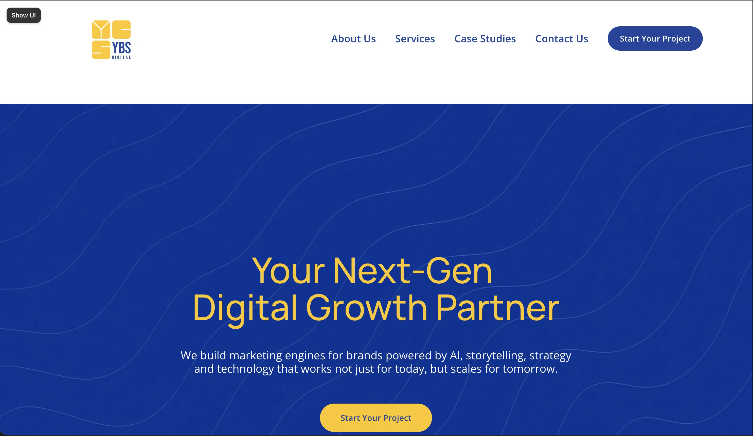 YBS Digital — old site, homepage hero